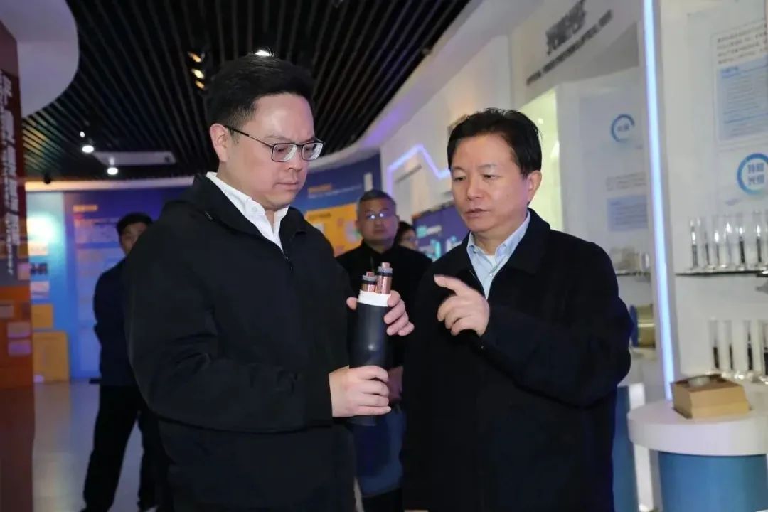 司法助企|蘇州市吳江區人民法院調研組走訪(fǎng)通鼎“聽(tīng)心聲”